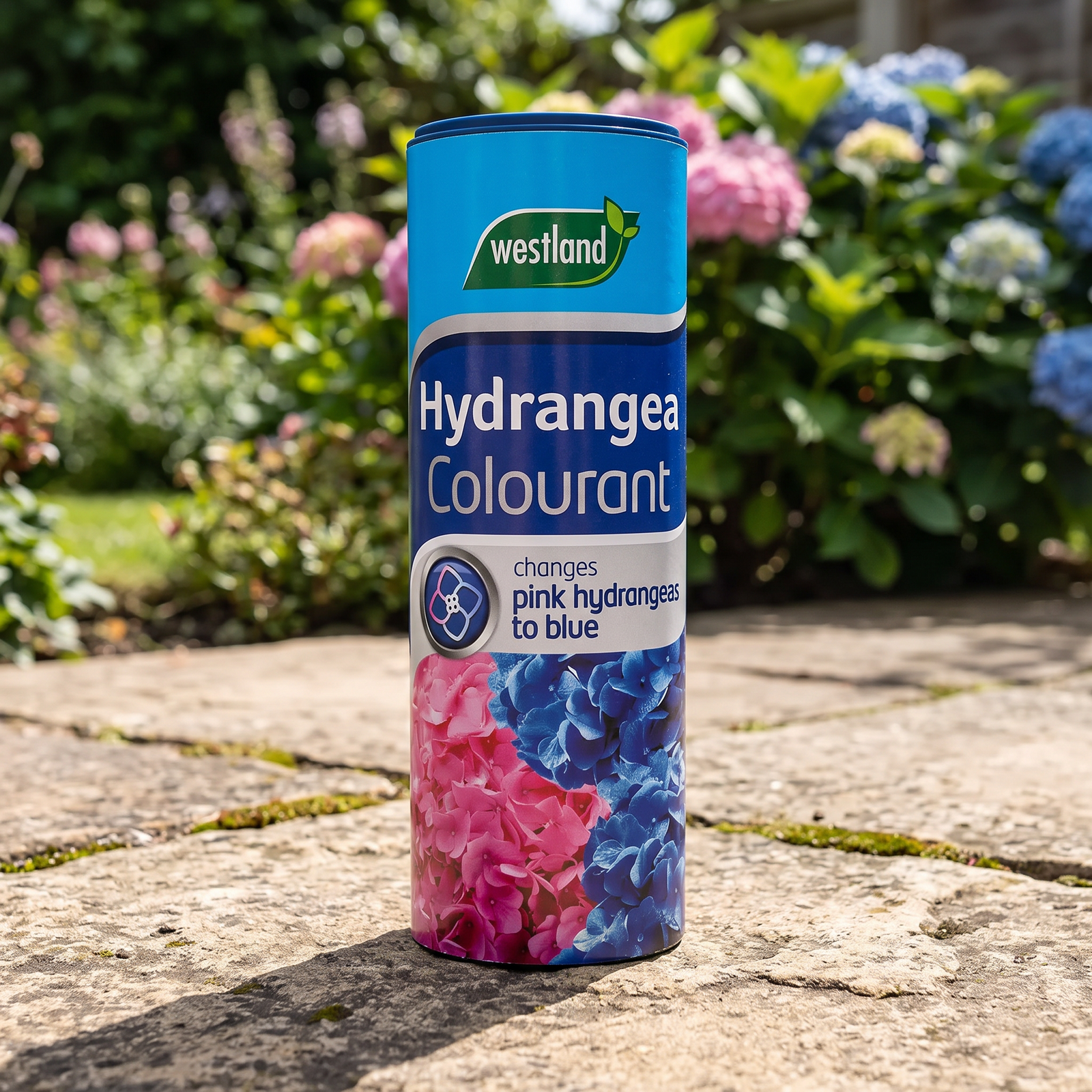 Westland Hydrangea Colourant 500g - Blue Flower Colour Treatment - Image 2