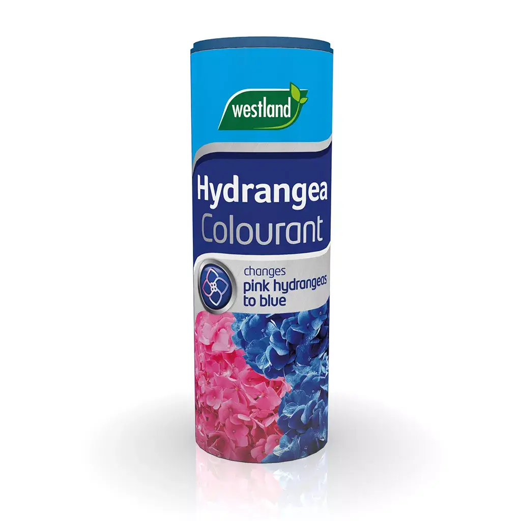 Westland Hydrangea Colourant 500g - Blue Flower Colour Treatment