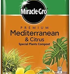 Miracle-Gro Mediterranean & Citrus Plant Compost - 6 Litre Bag